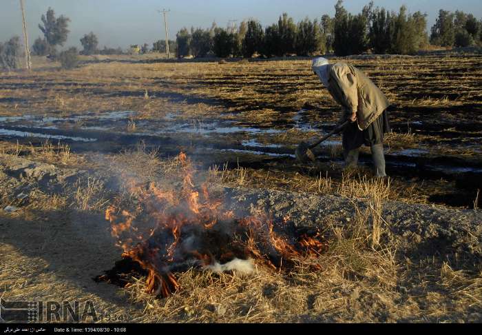 آغاز کشت پاییزه گندم و جو در استان سیستان و بلوچستان