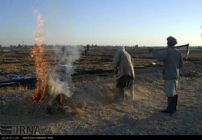 آغاز کشت پاییزه گندم و جو در استان سیستان و بلوچستان
