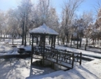پارک جنگلی سرچشمه در زمستان رونق گرفت