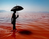 همکاری جهانی برای نجات دریاچه ارومیه