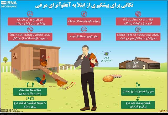 نکاتی برای پیشگیری از ابتلا به آنفلوآنزای مرغی