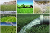 محصولات کشاورزی ارگانیک در هرمزگان تولید و عرضه شود
