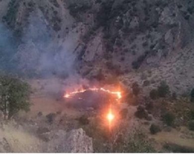 نیم هکتار از عرصه های طبیعی لردگان در آتش سوخت