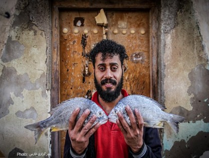 بازار ماهی فروشان بوشهر+ عکس