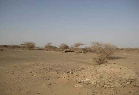 تصاویر سرزمین غدیر خم در عربستان