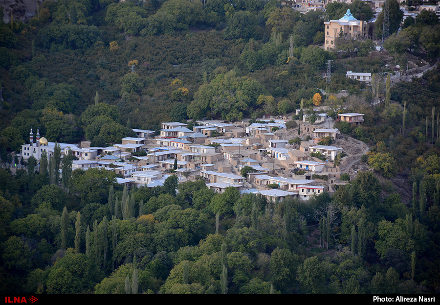 برداشت انار از باغات روستای انبوه برداشت انار از باغات روستای انبوه