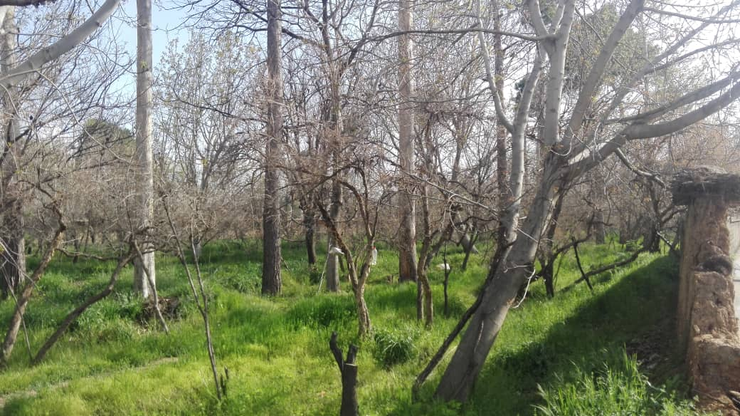 درس‌های مهم سیلاب شیراز در گفت و گو با یک کارشناس آب