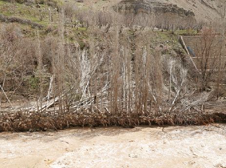 ساخت‌وساز در حاشیه رودخانه جاجرود؛ درس‌هایی که از سیل نگرفتیم