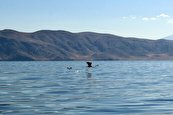 دریاچه ارومیه؛ از بحران خشک شدن تا رونق گردشگری