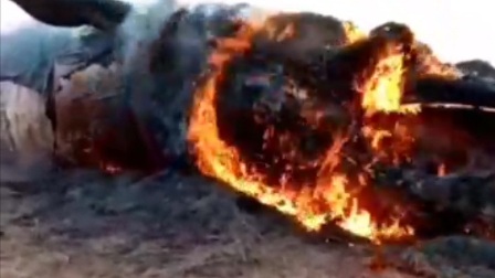 افراد ناشناس لاشه نهنگ به گل نشسته در دیلم را آتش زدند (+عکس)