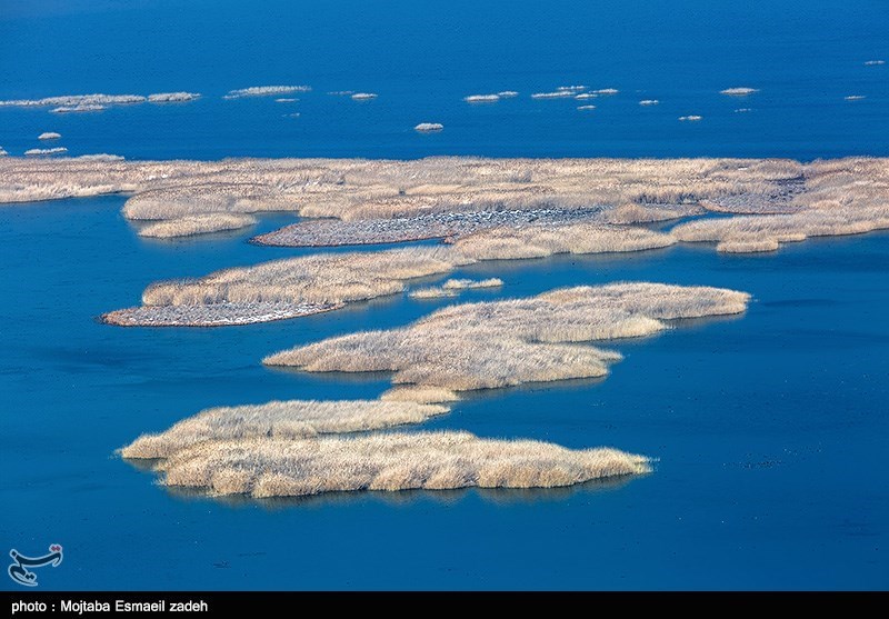 طعم بی‌نظیر طبیعت گردی را در تالاب‌های دریاچه ارومیه تجربه کنید