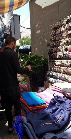 فروش یک گیاه سرطان‌زا در تهران+ عکس