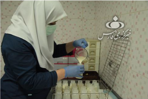 گفت‌وگو با مدیر اولین «بانک شیر مادر» در ایران