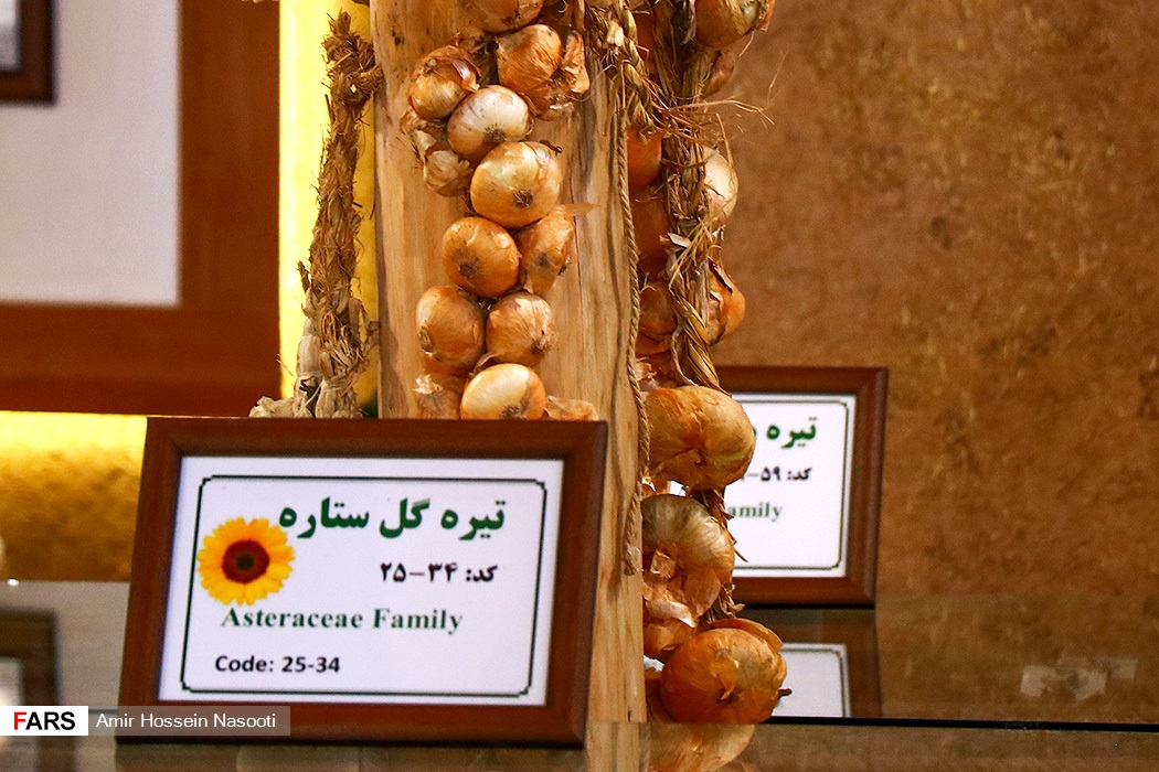 باغ موزه «گیاهان دارویی و معطر» زنجان