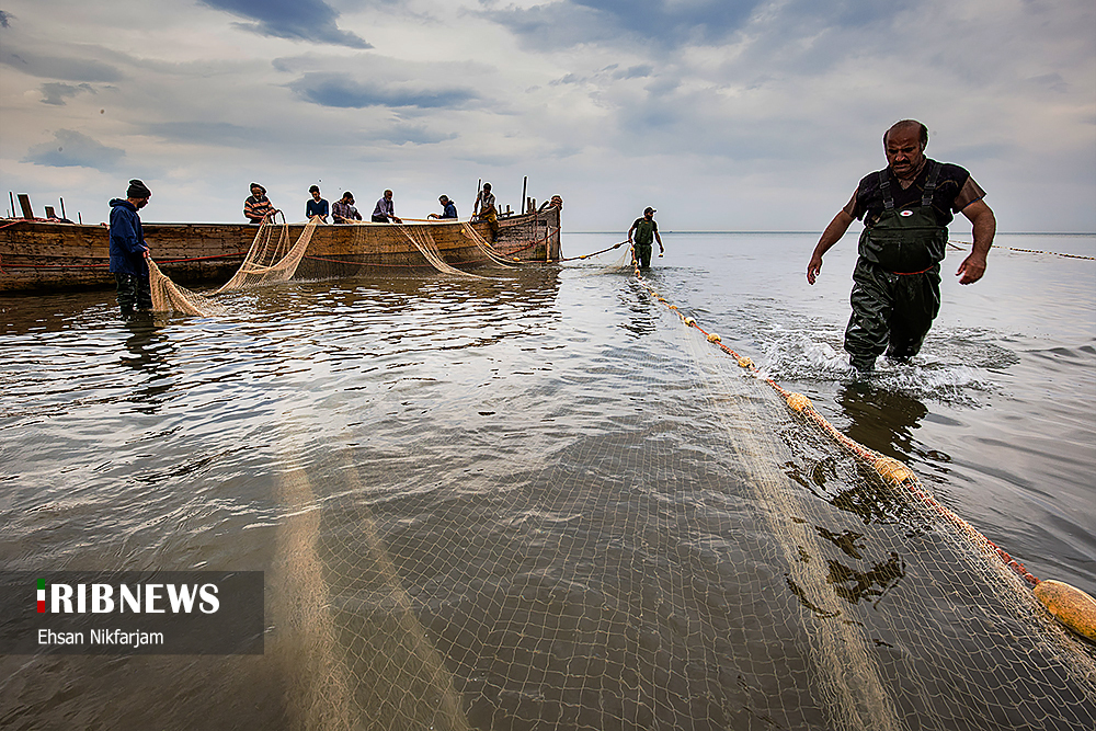 تلاش صیادان برای صید ماهی از خزر