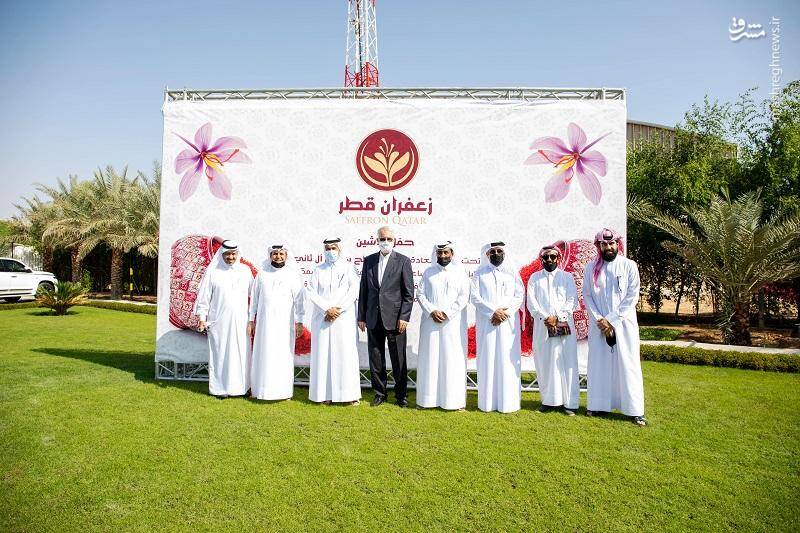 شاهکار جدید این روز‌های دولت «زعفران قطری»