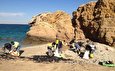 لکه‌های نفتی ساحل خنیزی جزیره هنگام پاکسازی شد