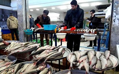 ماجرای ۱۰۷ مبتلای کرونا در بازار ماهی فروشان بندرعباس چه بود؟