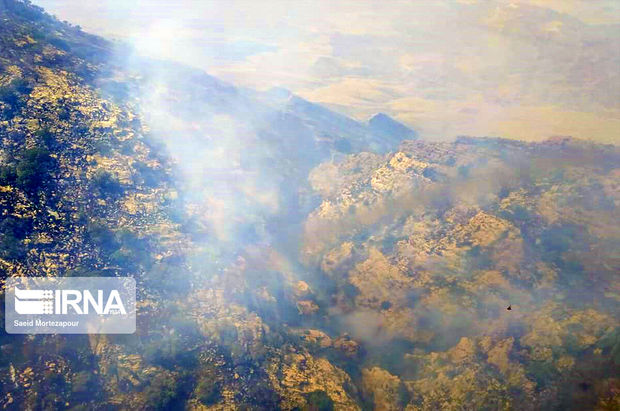 بلوط کهنسال «خائیز» در آتش می‌سوزد+ عکس