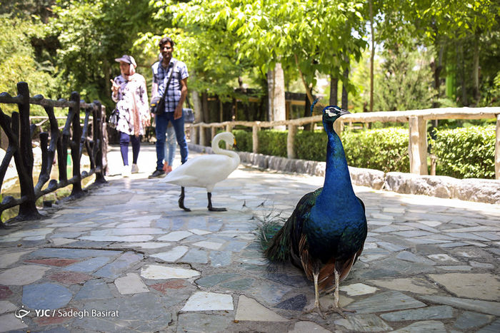 بزرگترین باغ پرندگان خاورمیانه در اصفهان