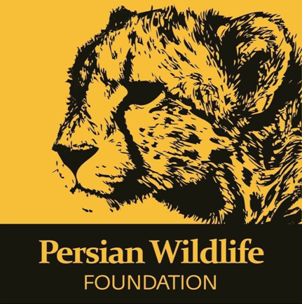 وقتی هوک، کلاغ را جای قناری قالب میکند! وقتی هوک، کلاغ را جای قناری قالب میکند!