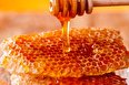رتبه چهارم ایران در تولید عسل دنیا