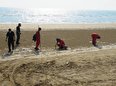 عملیات پاکسازی ساحل گناوه شروع شد