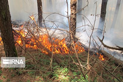 جنگل‌ها و مراتع کشور همچنان در چنگال آتش