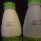 جهش قیمت شیر و کاهش احتمالی مصرف