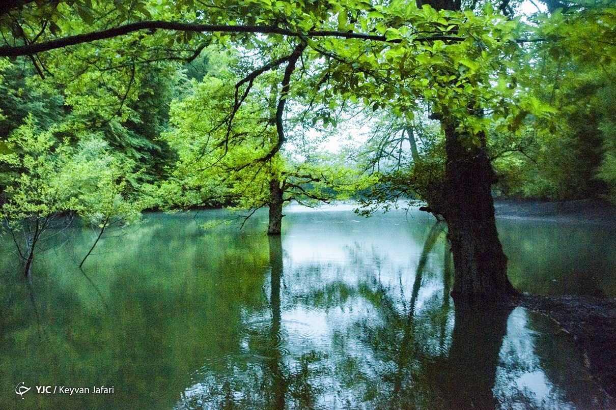 آتش سوزیها؛ جنگلهای ارسباران را تهدید میکند/کاهش ۵۰۰هزار هکتار از سطح جنگلهای زاگرس آتش سوزیها؛ جنگلهای ارسباران را تهدید میکند/کاهش ۵۰۰هزار هکتار از سطح جنگلهای زاگرس