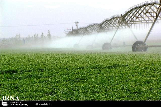 جهش تولید در کشاورزی آذربایجان غربی در سالی که گذشت
