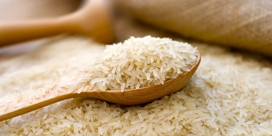 ابلاغ قیمت خرید تضمینی برنج و انتقادات نماینده مجلس