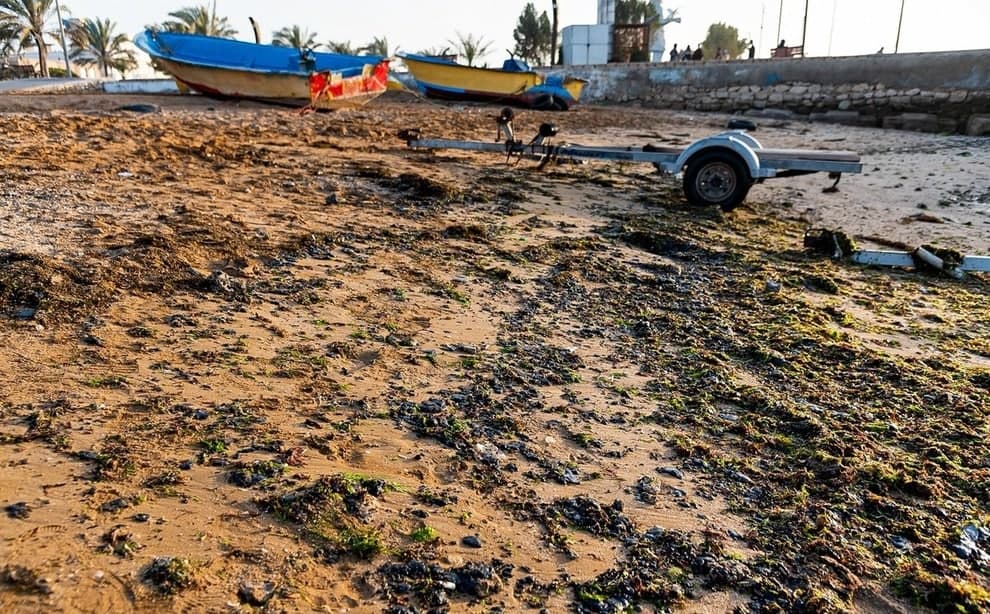 آلوده شدن ساحل بوشهر با لکه‌های نفتی