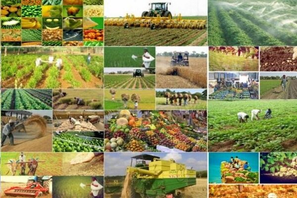 دیالکتیک آمایش سرزمین در حوزه کشاورزی و الگوی کشت ملی دیالکتیک آمایش سرزمین در حوزه کشاورزی و الگوی کشت ملی