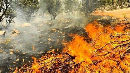 خطر آتش در جنگل‌های ۵ استان