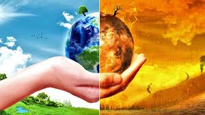 باید‌های محیط زیست در روز جهانی محیط زیست