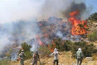 سوختن جنگل‌های چهارمحال‌وبختیاری در آتش کمبود تجهیزات