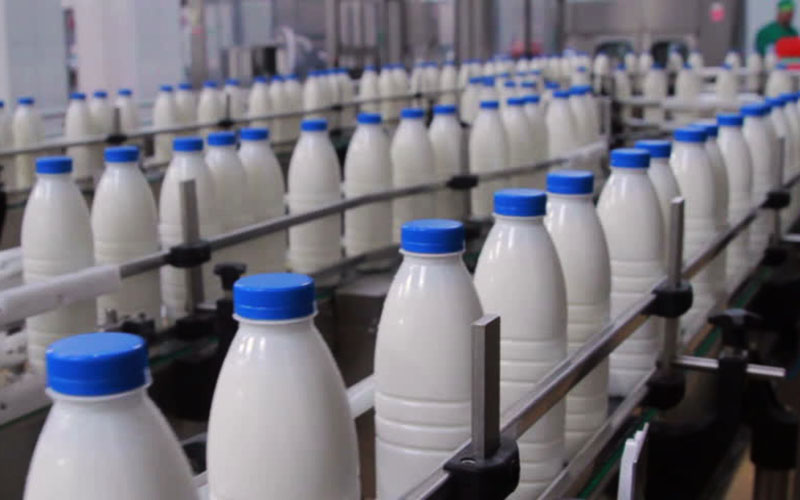 مافیای لبنیات شیر را گران و صادرات کره و شیرخشک را آزاد کرد
