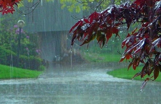 میانگین بارندگی کل کشور کمتر از سال گذشته