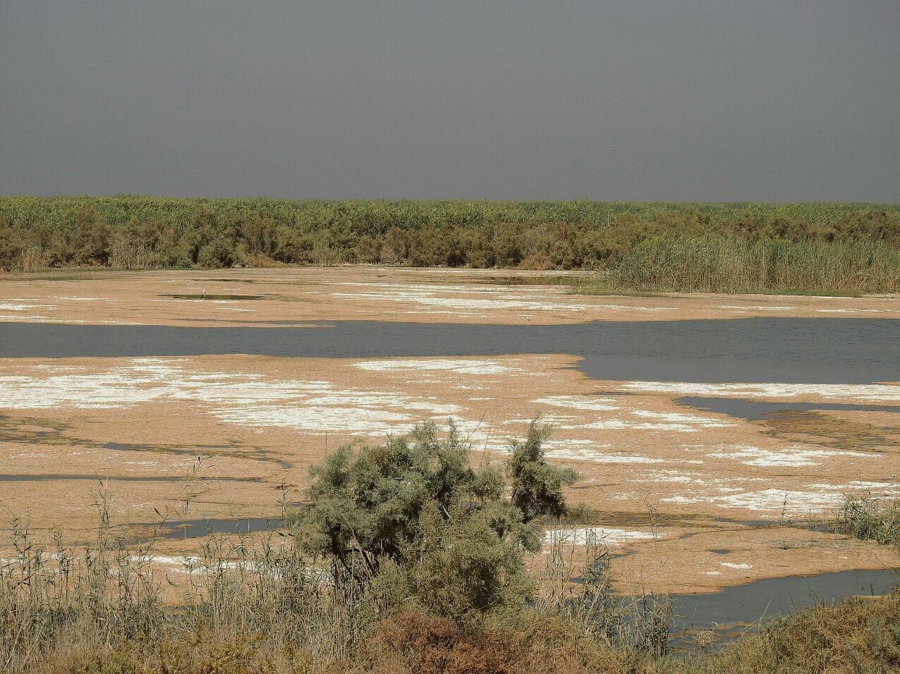 بحران خوزستان با مدیریت آب از طریق سد‌ها حل می‌شود
