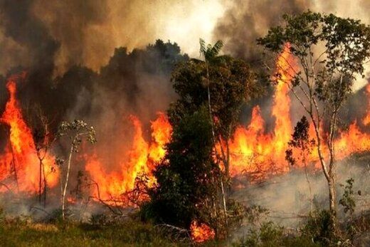 آتش سوزی در جنگل‌های زاگرس