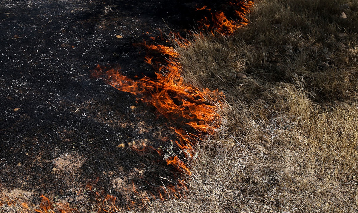 وضعیت بحرانی آتش‌سوزی در جنگل‌های ایران