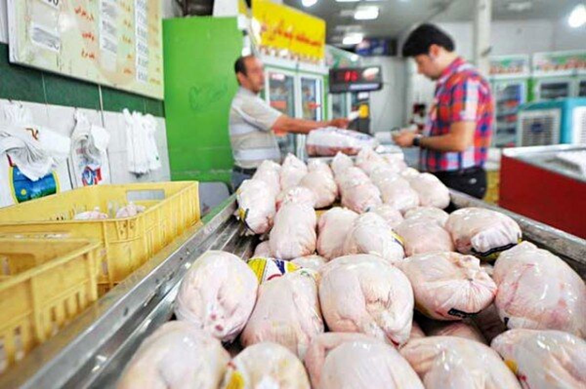 بحران و التهاب بازار مرغ تا چه زمانی ادامه دارد؟