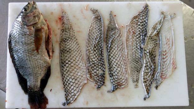تولید صنعتی چرم از پوست ماهی در ایران