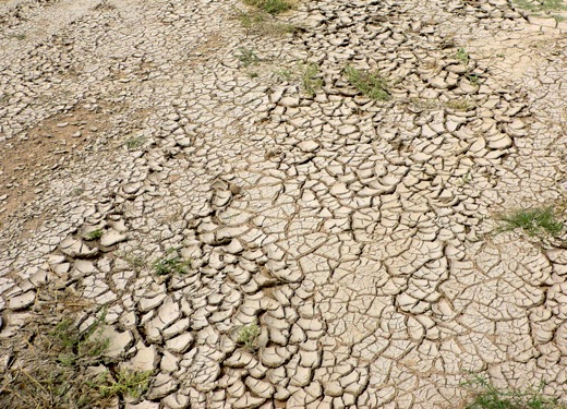 نمکی شدن خاک؛ خطرناک‌تر از بحران آب