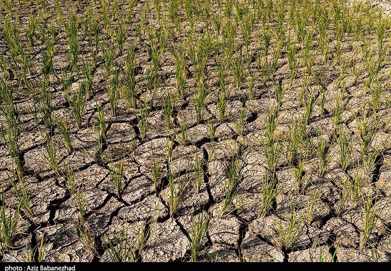 بحرانی‌ترین خشکسالی ۵۰ سال اخیر در لرستان+ تصاویر