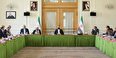 تاکید نمایندگان مجلس و وزارت خارجه بر تدوین قانون جامع حمایت از ایرانیان خارج از کشور