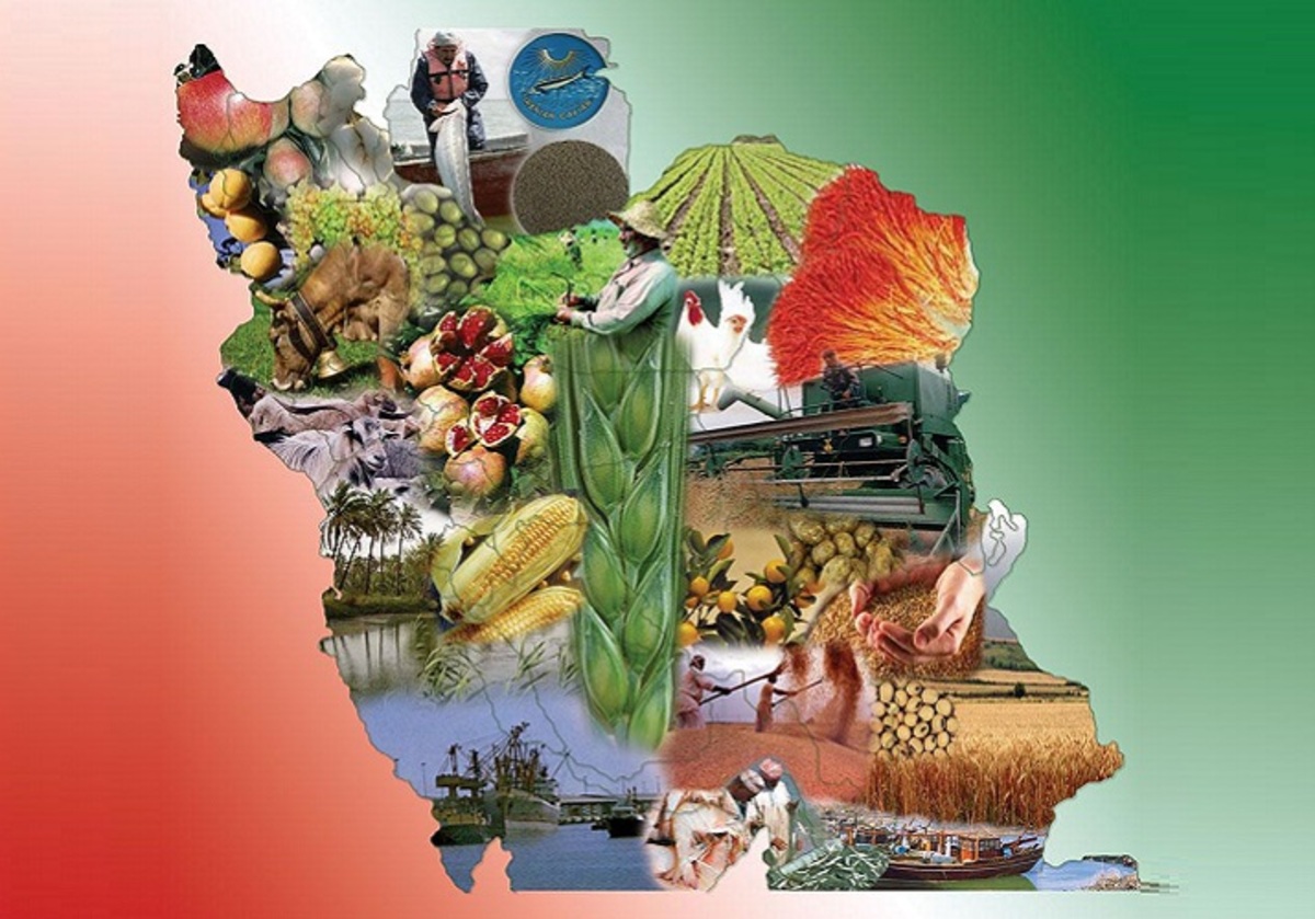 دیپلماسی غذایی بیان شده توسط وزیر جهاد کشاورزی، از ادعا تا واقعیت