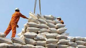 واردات برنج ایران ۱ میلیارد دلاری شد! خودکفایی برنج چی شد ساداتی نژاد؟