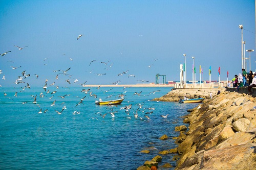 قطب گردشگری دریایی برای بوشهر یک شعار است
